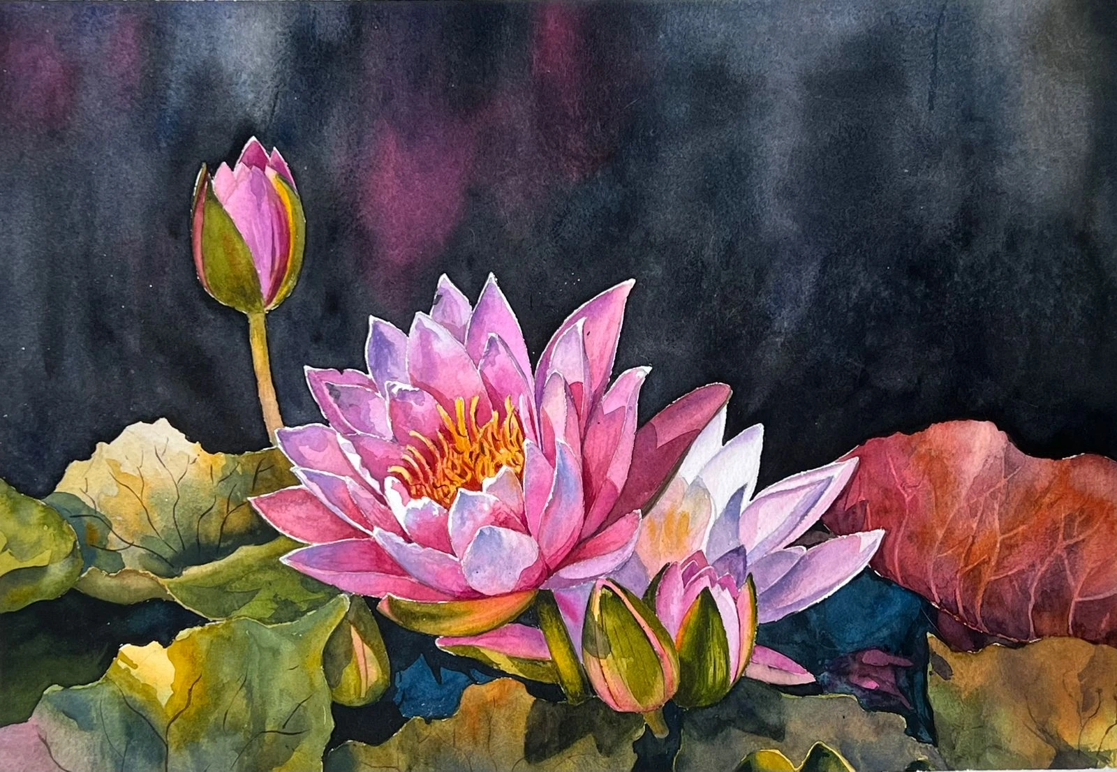 Shapla II — watercolour on paper by Jahidul Islam